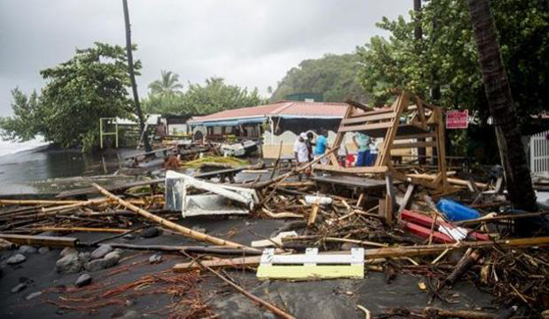 Destrozos que ha provocado el huracán María en la isla de Martinica - AFP