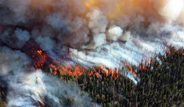 Enormes extensiones de bosque están amenazados por el incendio, (Photo by LULA SAMPAIO / AFP