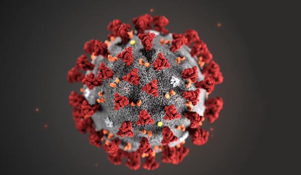 Para llegar a esa conclusión, los científicos, tuvieron que analizar el material genético del nuevo coronavirus y compararlo con los virus que actualmente están en los laboratorios de virología.